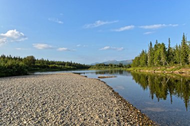 Bakire Komi ormanları. Yugyd va Ulusal Parkı 'ndaki Shchugor nehri..