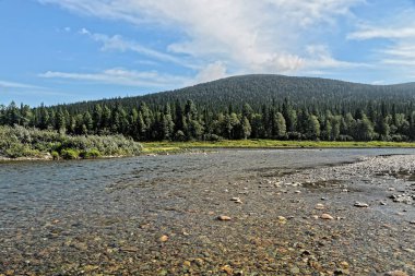 Bakire Komi ormanları. Yugyd va Ulusal Parkı 'ndaki Shchugor nehri..