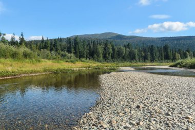 Bakire Komi ormanları. Yugyd va Ulusal Parkı 'ndaki Shchugor nehri..