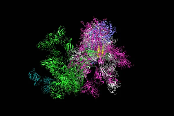 Glicoproteína Sars Cov Spike Estrutura Complexo Com Proteína Que Forma — Fotografia de Stock