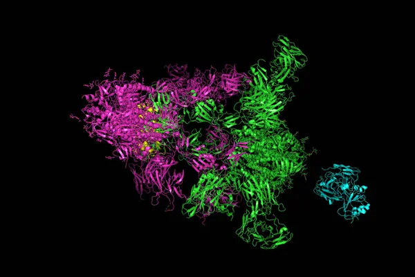 Sars Cov Spike Glycoprotein Proteini Ile Kompleksin Yapısı Coronavirus Taç — Stok fotoğraf