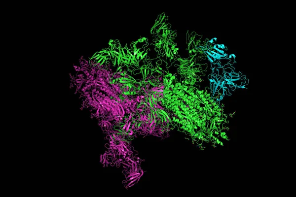 Sars Cov Spike Glykoprotein Strukturen Komplexet Med Protein Som Bildar — Stockfoto