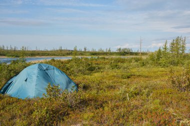 Putorana Platosu 'nda yolculuk. Turist kampında bir çadır..