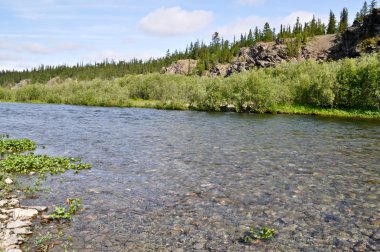 Kuzey Nehri manzarası. 