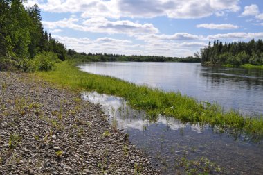 Kuzey çakıl Nehri'nin güneş peyzaj.