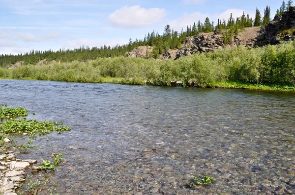 North river landscape. — Stock Photo, Image