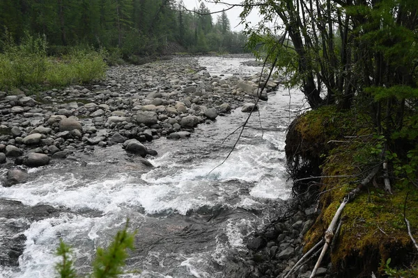 Putorana Plateau Bergsbäck Vattenlandskap Norra Sibirien — Stockfoto