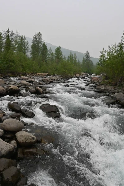 Putorana Plateau Mountain Stream Water Landscape North Eastern Siberia — Stock Photo, Image