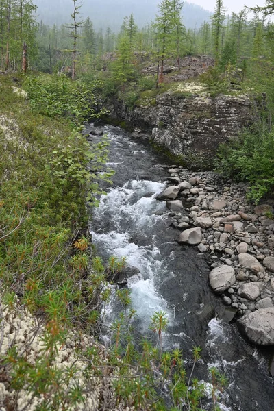 Putorana Platosu Bir Dağ Deresi Doğu Sibirya Nın Kuzeyindeki Manzarası — Stok fotoğraf