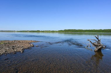 Yaz nehri manzarası. Komi Cumhuriyeti 'ndeki Kuzey Tayga Nehri, Rusya.