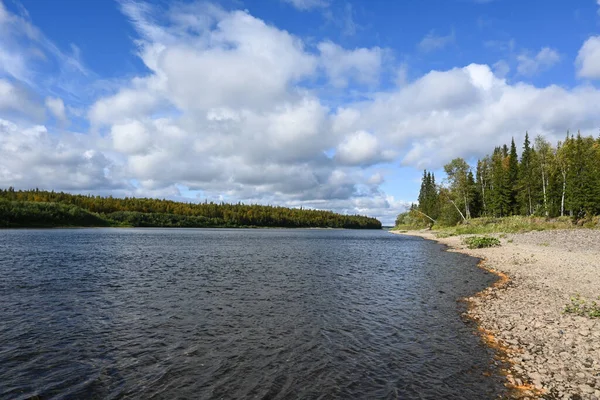 Summer River Landscape Northern Taiga River Komi Republic Russia — Stock Photo, Image
