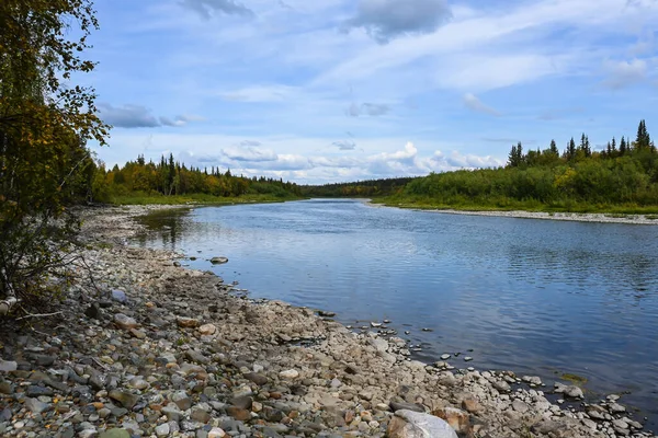 Zomer Rivierlandschap Noordelijke Taiga Rivier Komi Republiek Rusland — Stockfoto