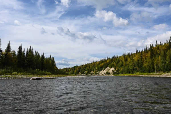 Sommarflodens Landskap Floden Norra Taiga Komirepubliken Ryssland — Stockfoto