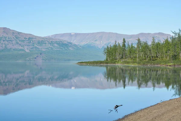Lake Putorana Plateau Summer Landscape Mountain Lake North Eastern Siberia — Stockfoto