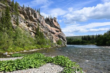 Circumpolar Urallar 'ın nehirleri boyunca seyahat edin. Rusya 'nın Ural bölgesinin kuzey nehrinin yaz manzarası.