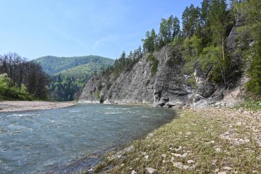 Zilim Nehri 'nin kıyısındaki kayalar. Rusya 'nın Ural Bölgesi Bashkiria' daki Zilim doğa parkında bahar geldi..