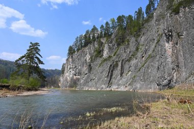 Zilim Nehri 'nin kıyısındaki kayalar. Rusya 'nın Ural Bölgesi Bashkiria' daki Zilim doğa parkında bahar geldi..