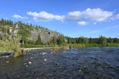 Circumpolar Urallar 'ın nehirleri boyunca seyahat edin. Rusya 'nın Ural bölgesinin kuzey nehrinin yaz manzarası.
