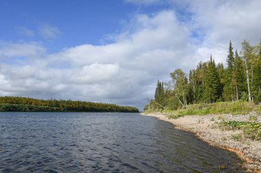 Circumpolar Urallar 'ın nehirleri boyunca seyahat edin. Rusya 'nın Ural bölgesinin kuzey nehrinin yaz manzarası.