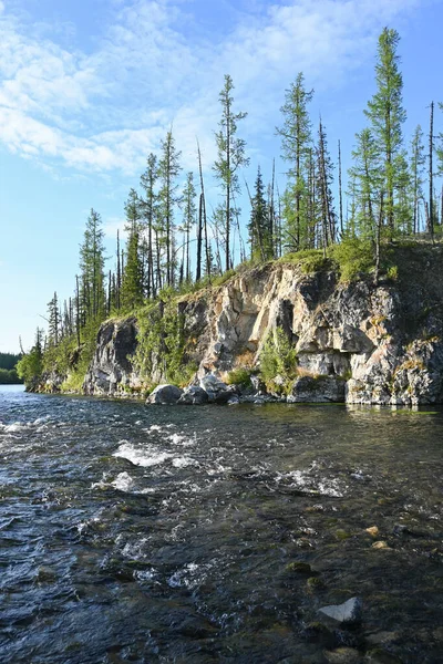 Podróż Wzdłuż Rzek Circumpolar Urals Letni Krajobraz Północnej Rzeki Ural — Zdjęcie stockowe