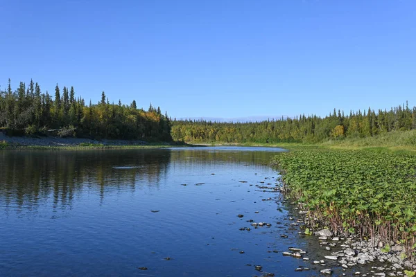 Cestujte Podél Řek Circumpolar Urals Letní Krajina Severní Řeky Uralu — Stock fotografie