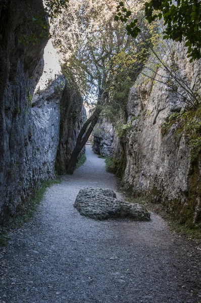 Parco Nazionale "La Ciudad Encantada", Cuenca (Spagna) ) — Foto Stock