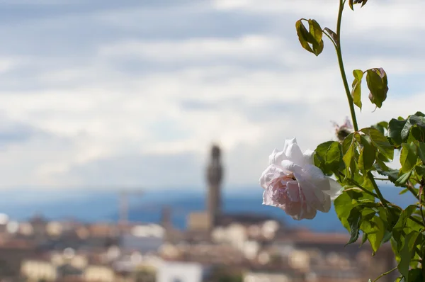 Florens skyline med den berömda katedralen santa maria del fiore. Italien, — Stockfoto