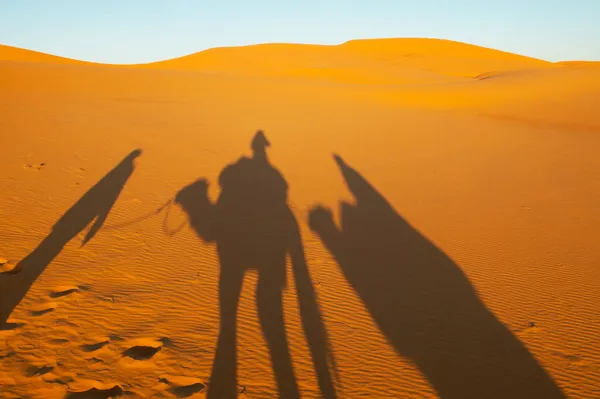 Schatten von Kamel und Mensch — Stockfoto