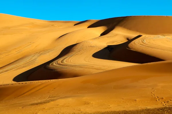 Dunes du désert — Photo