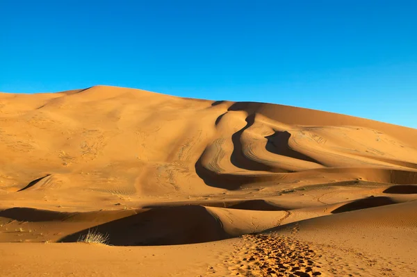 Dunas del desierto — Foto de Stock