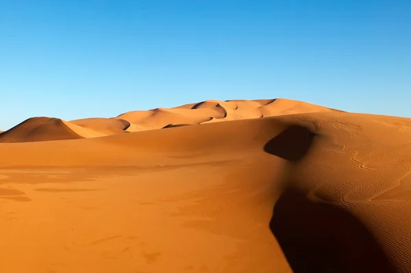 Öknens sanddyner — Stockfoto