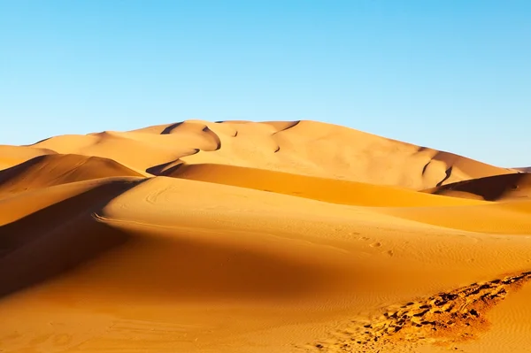 Пустеля дюни — стокове фото