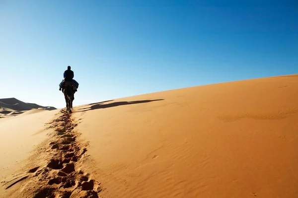 Homme marchant dans les dunes du désert Image En Vente