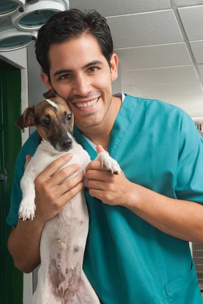 Veterinaria cuidando mascotas — Foto de Stock