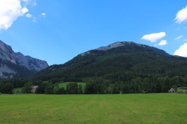 Orman ve dağlar