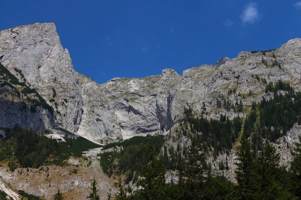 Montagne Hochschwab — Foto Stock