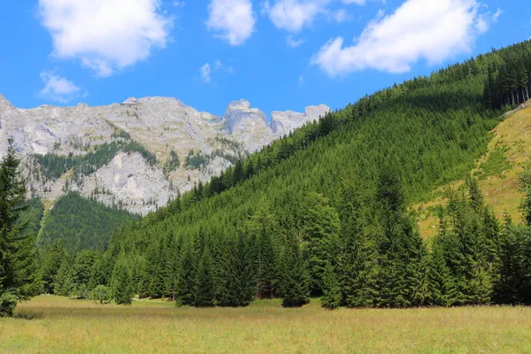 Uitzicht op de bergen hochschwab — Stockfoto