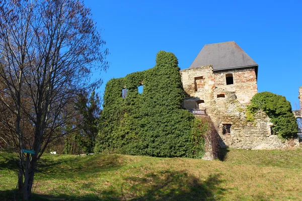 Ligaschlusslicht Burg — Stockfoto