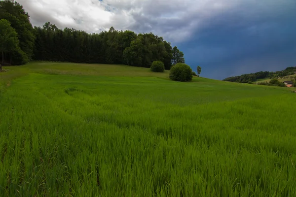 Paysage de la vallée — Photo