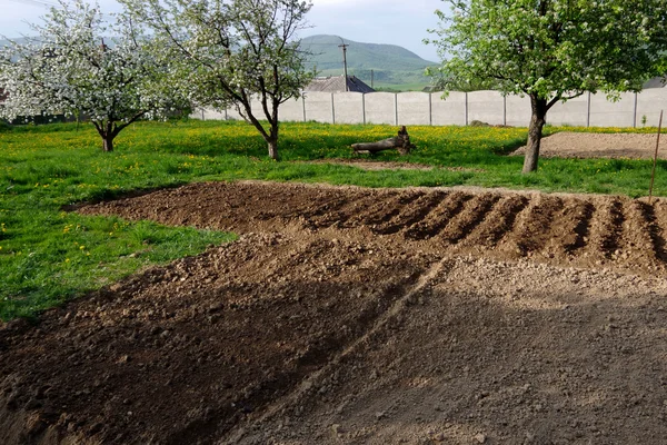 Bahçe