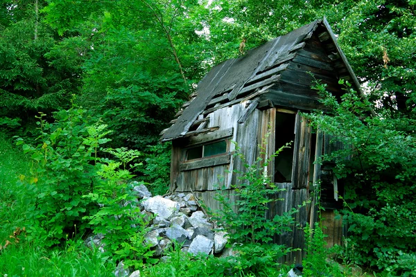 Crumbling shack — Stock Photo, Image