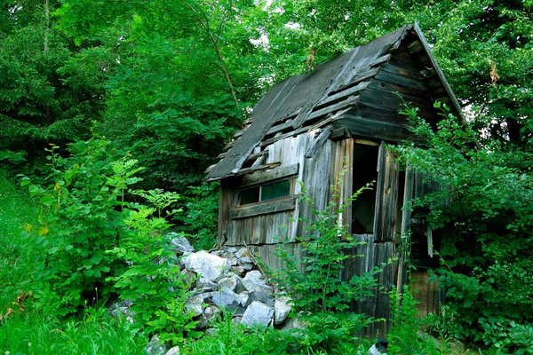 Afbrokkelende shack — Stockfoto