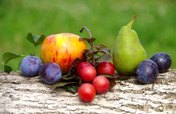 Diverse fruit — Stock Photo, Image