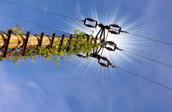 Electricity poles — Stock Photo, Image