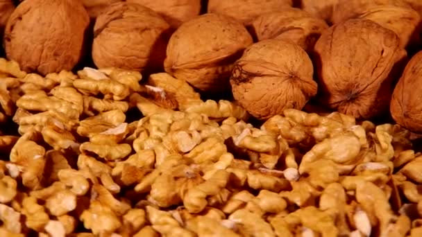 Nueces — Vídeos de Stock