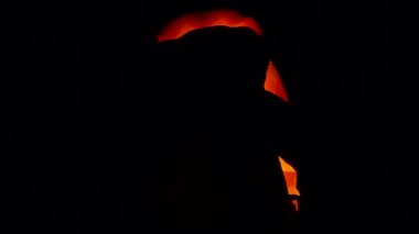 Cadılar Bayramı Balkabağı