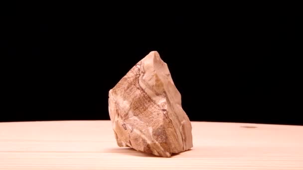 Zebra Jasper — Vídeo de Stock