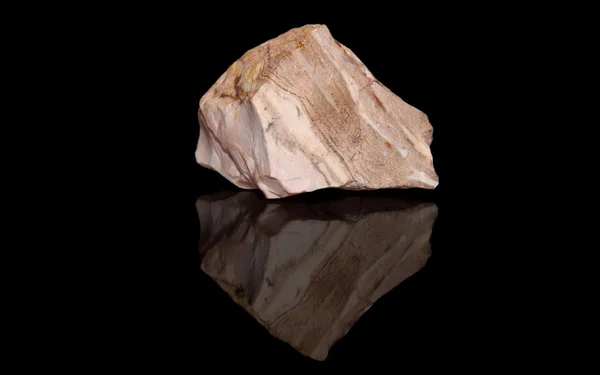 Jasper zebra