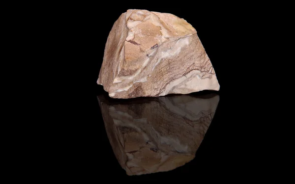 Jasper zebra