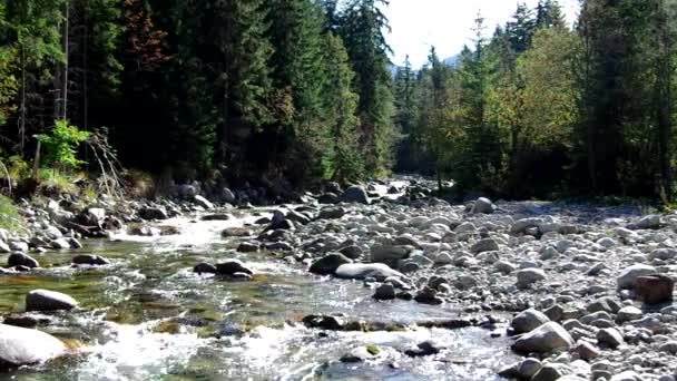 Rivière qui coule 